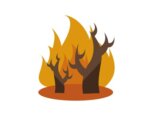 大阪市の火事 火災情報 ニュースフラッシュ 大阪市の火事 火災情報 ニュースフラッシュ